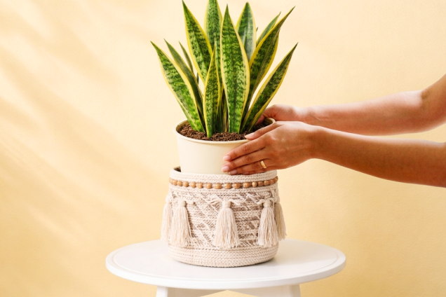 Serene Thread Planter