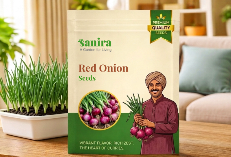 Red Onion Seeds