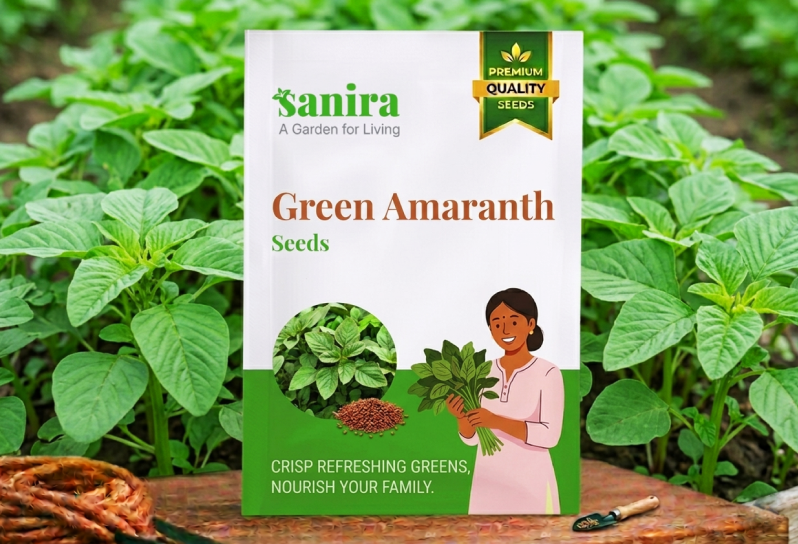 Green Amaranth Seeds