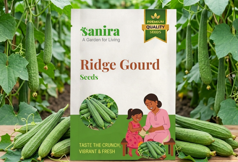 Ridge Gourd Seeds