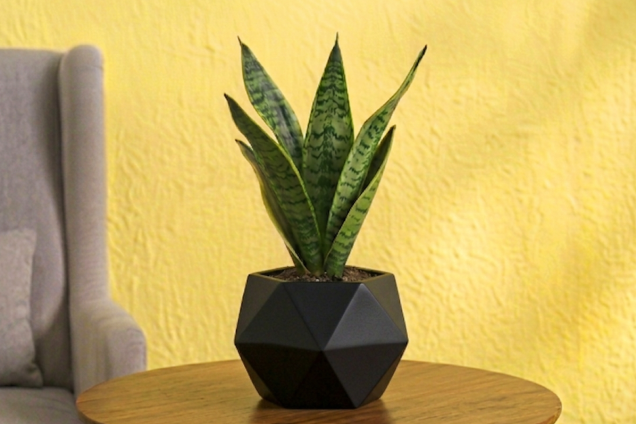 Polygon Terra Pot