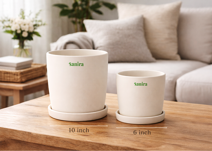 Ceramic Classic Matte Pot – Cream 6-10