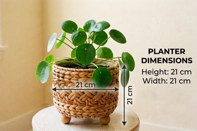 The Footed Rattan Basket Planter