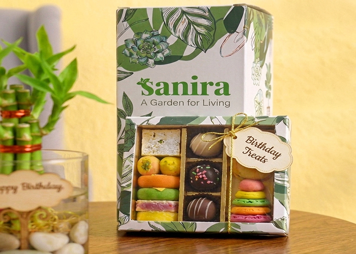 Bamboo Plant- (Gift Hamper)