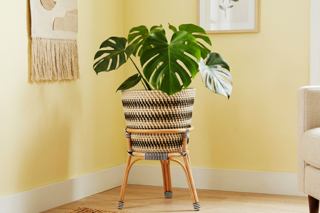 Gridwork Basket Planter